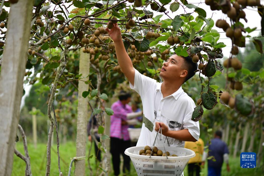 威尼斯app在那里玩下载